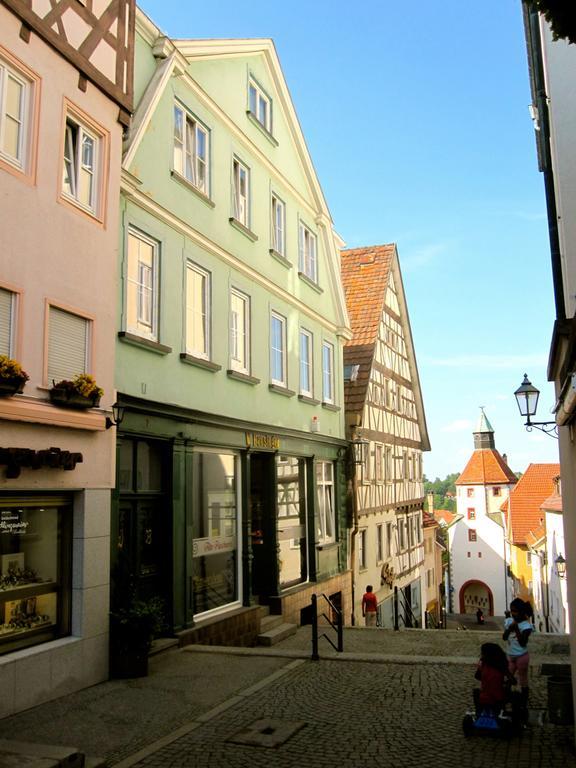 Ferienwohnung Am Ziegelbach Hechingen Zewnętrze zdjęcie